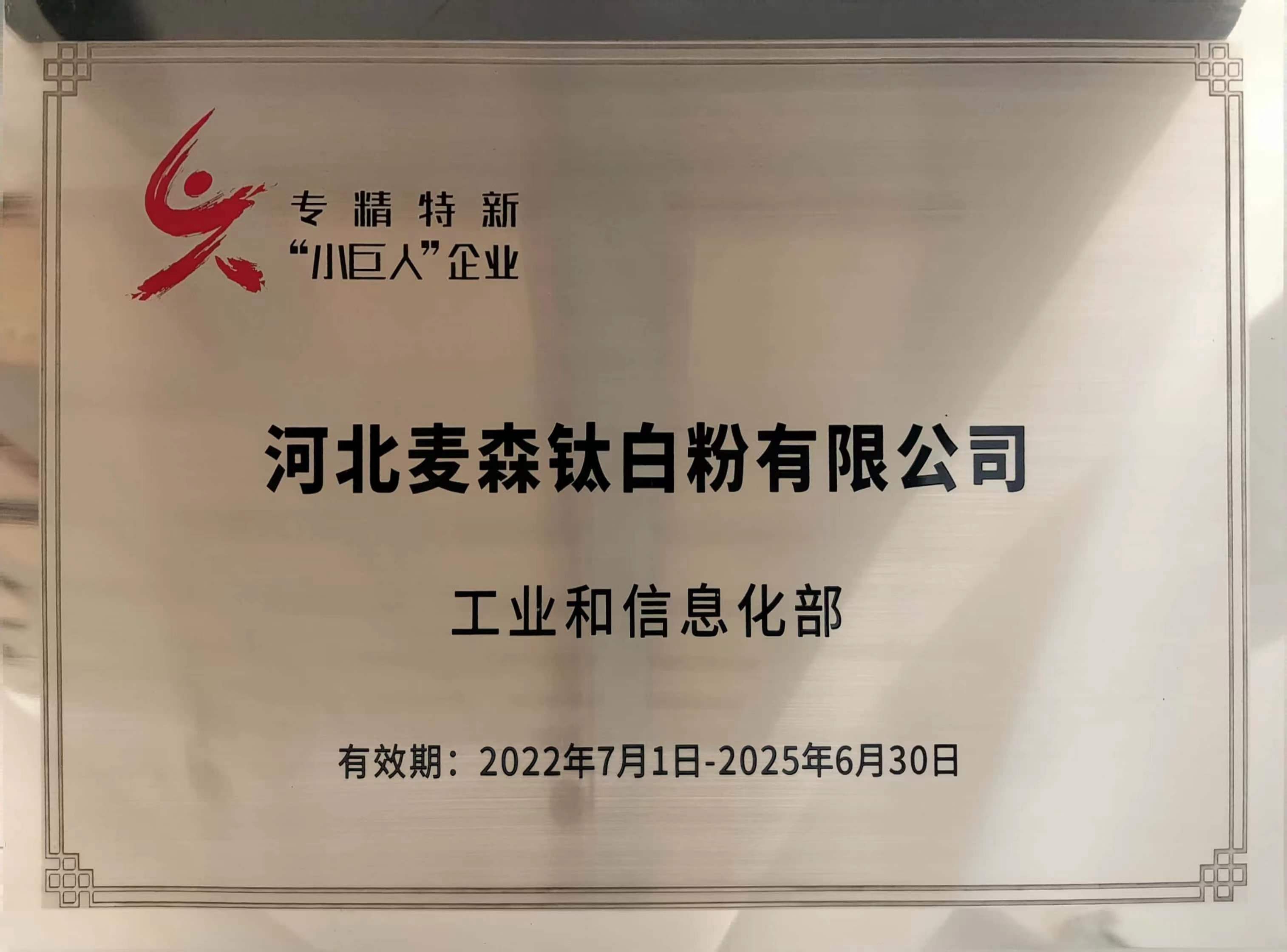 专精特新小巨人